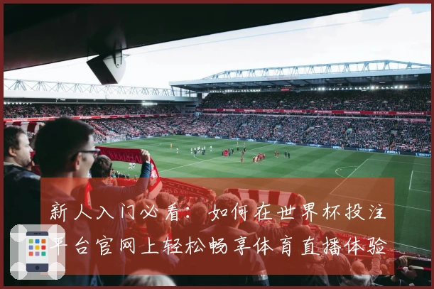 新人入门必看：如何在世界杯投注平台官网上轻松畅享体育直播体验