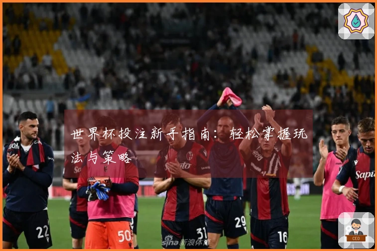 世界杯投注新手指南：轻松掌握玩法与策略