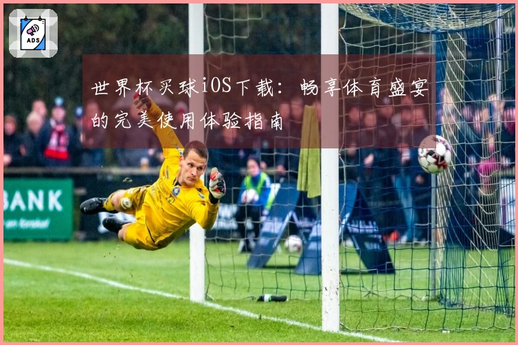 世界杯买球iOS下载：畅享体育盛宴的完美使用体验指南
