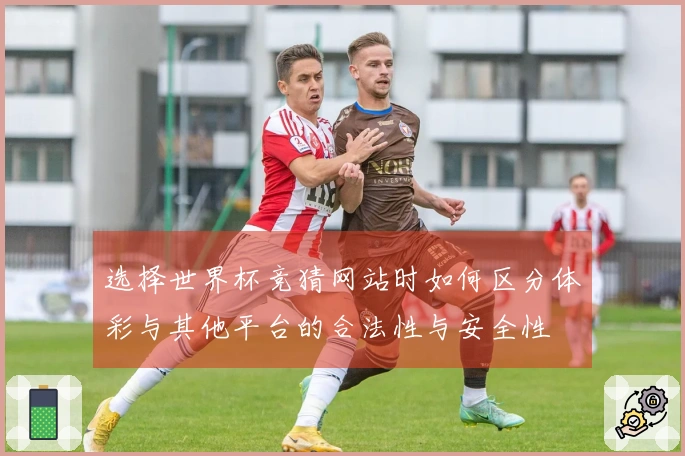 选择世界杯竞猜网站时如何区分体彩与其他平台的合法性与安全性