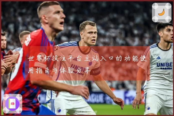 世界杯投注平台主站入口的功能使用指南与体验分享