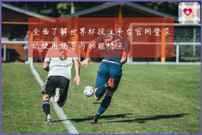 全面了解世界杯投注平台官网登录的使用场景与功能特点