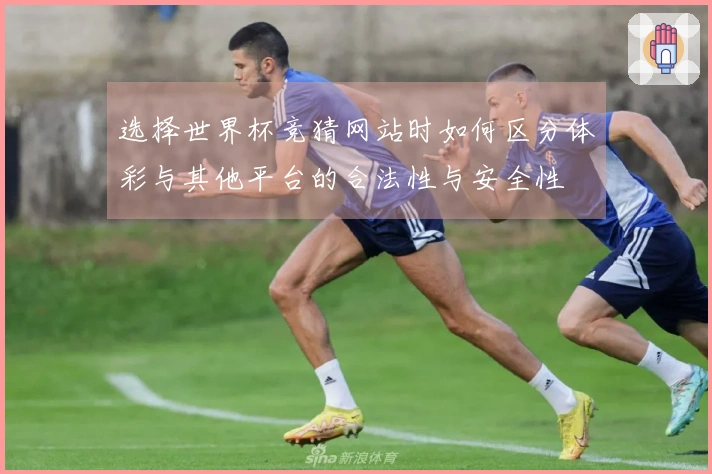 选择世界杯竞猜网站时如何区分体彩与其他平台的合法性与安全性