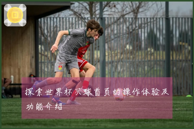 探索世界杯买球首页的操作体验及功能介绍