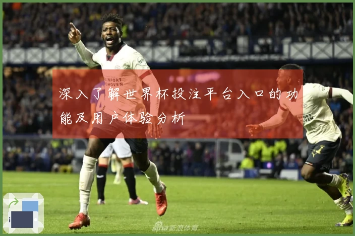 深入了解世界杯投注平台入口的功能及用户体验分析