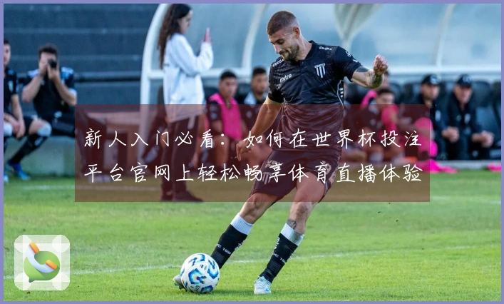 新人入门必看：如何在世界杯投注平台官网上轻松畅享体育直播体验