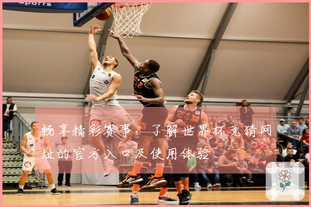 畅享精彩赛事，了解世界杯竞猜网址的官方入口及使用体验