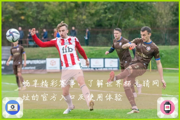 畅享精彩赛事，了解世界杯竞猜网址的官方入口及使用体验